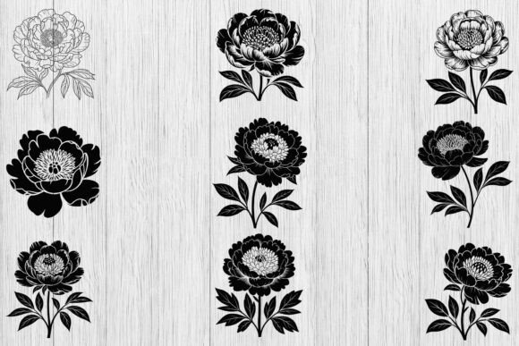 Peony Floral SVG Bundle, Peony Silhouette Review
