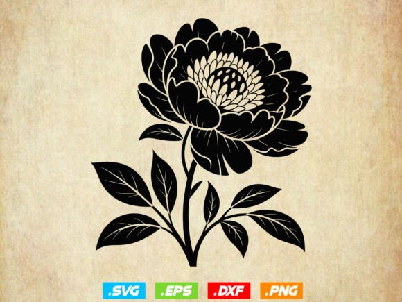 Peony Floral SVG, Peony Silhouette,Peony: A Designer's Review