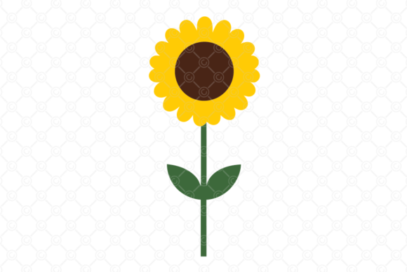 Spring Flower SVG, Floral SVG PNG, 005: A Designer's Real-World Review